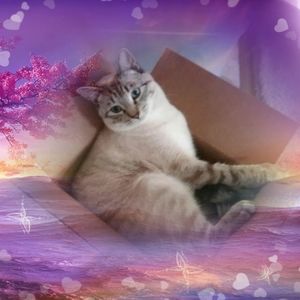 Meet your Posher, Kathy